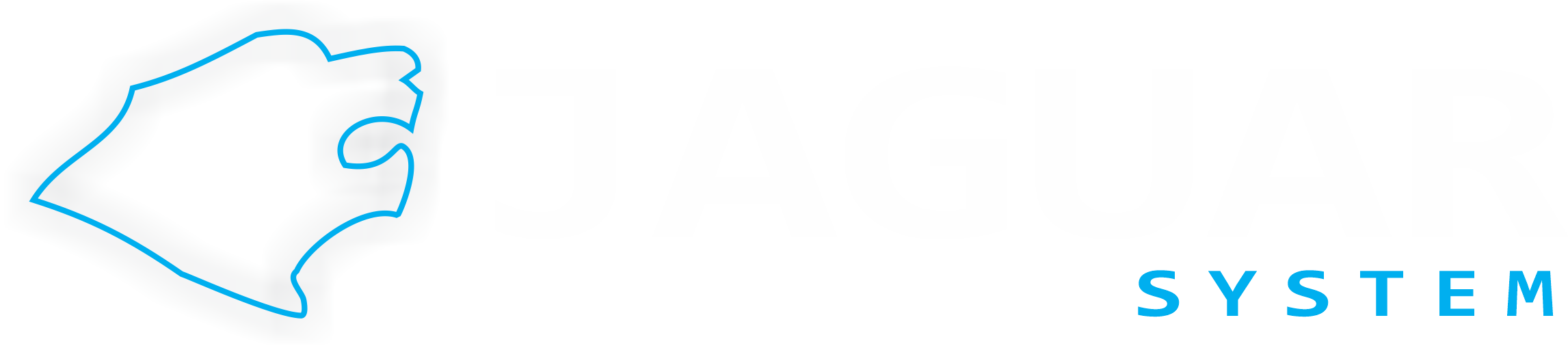 JaguarSystem
